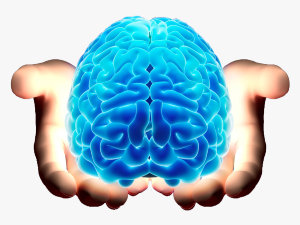 Neurology KNOW MORE