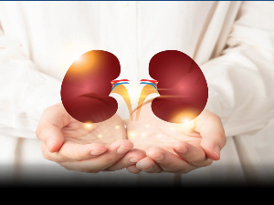 Urology KNOW MORE